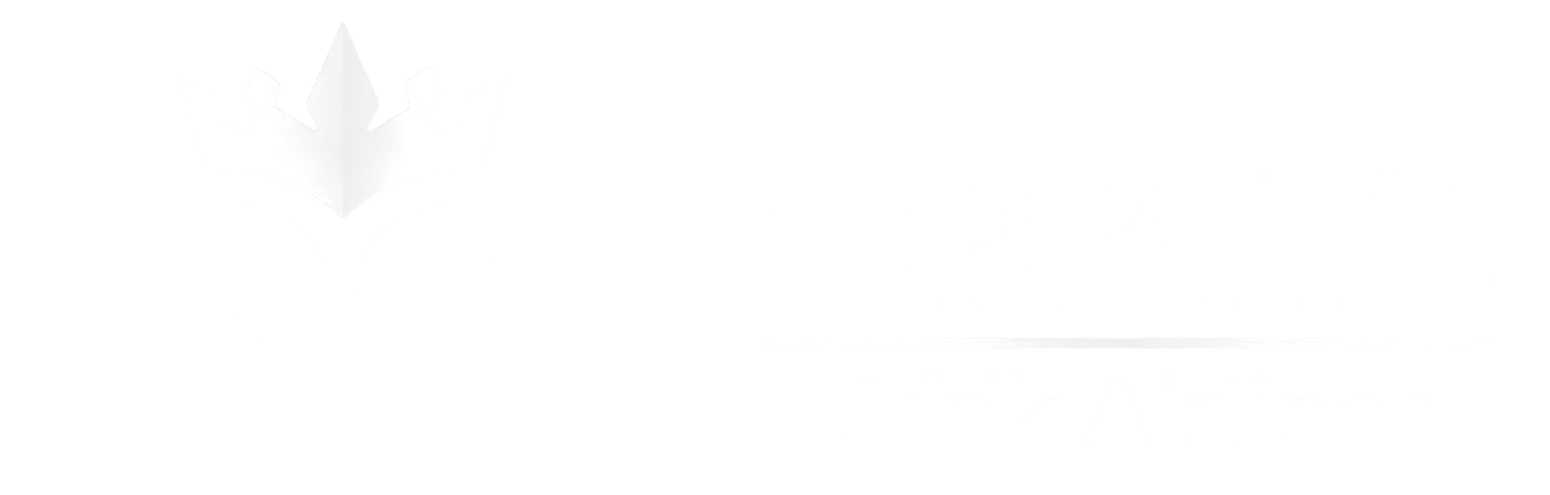 Orbitz Afrik Airlines